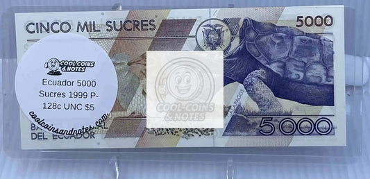 10 Banknote Currency Sleeves Rigid US Dollar Modern Size US Topload Holders Note Cool Coins & Notes