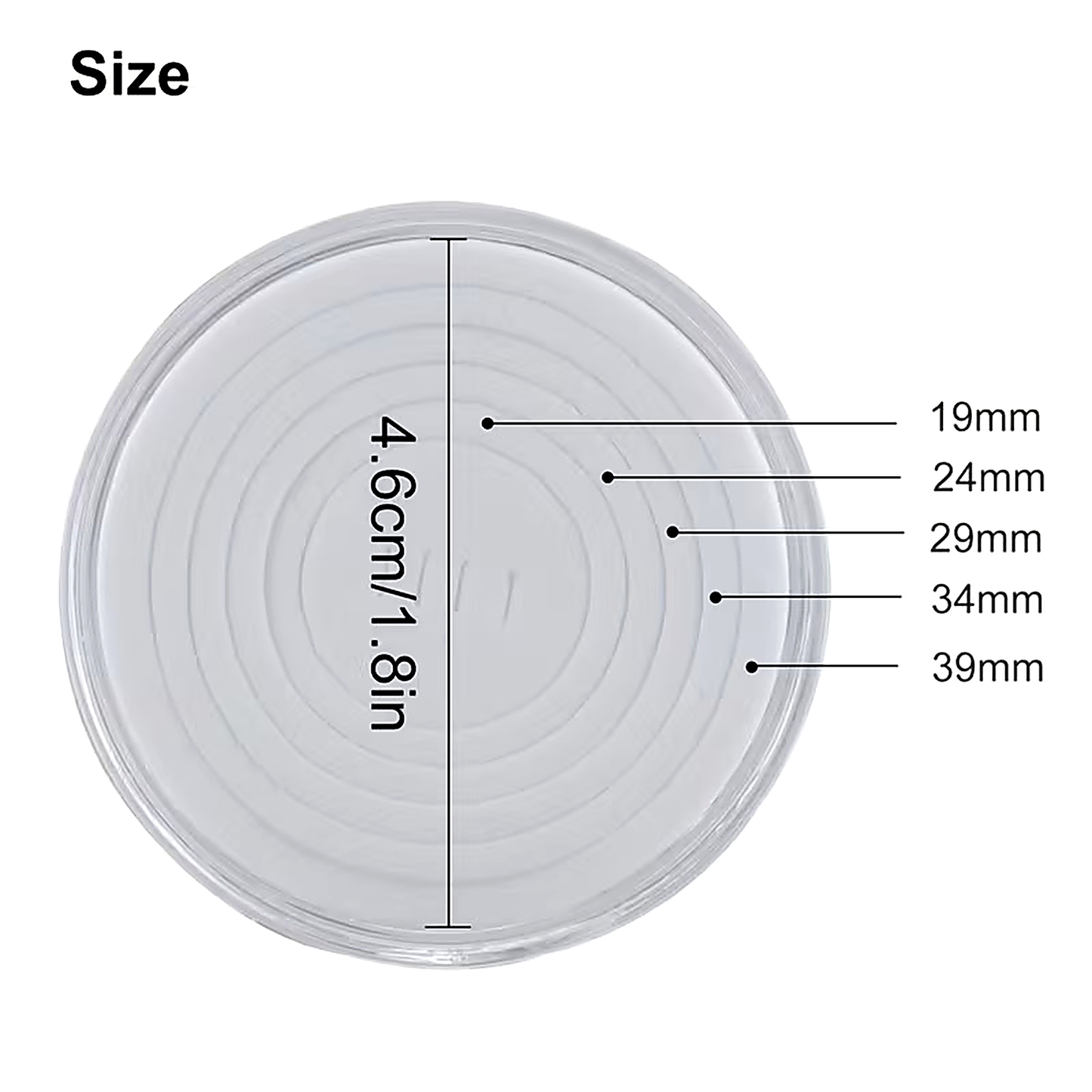 10pc Clear Coin Capsules w/ Adjustable Foam Inserts 19/24/29/34/39mm