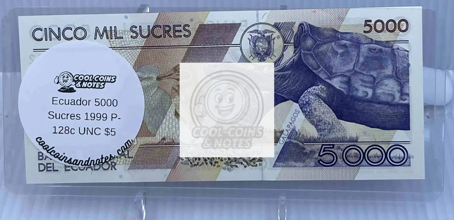 10 Banknote Currency Sleeves Rigid US Dollar Modern Size US Topload Holders Note Cool Coins & Notes