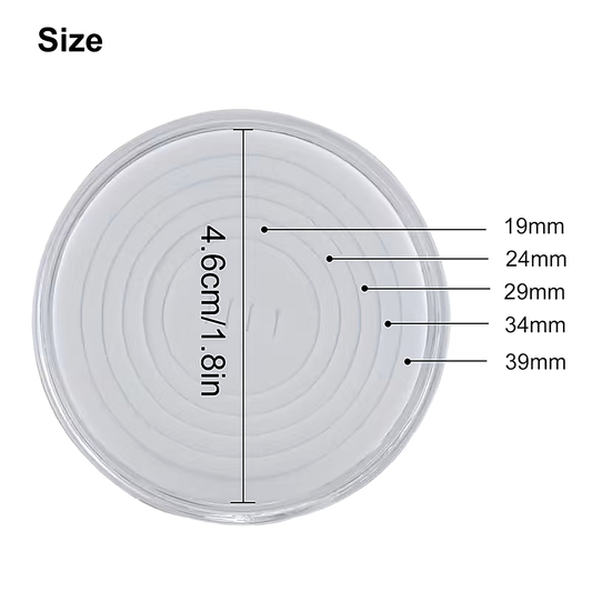 10pc Clear Coin Capsules w/ Adjustable Foam Inserts 19/24/29/34/39mm