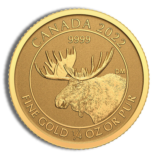2022 Canada 1/4 oz Gold Moose Coin - Reverse Proof